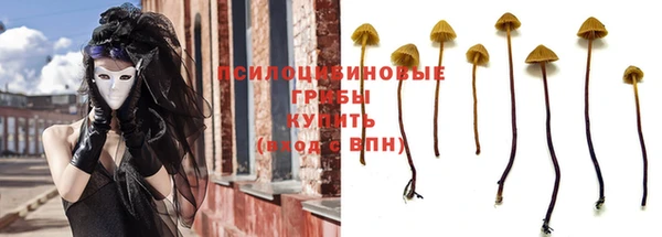 трава Беломорск