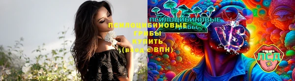 трава Беломорск