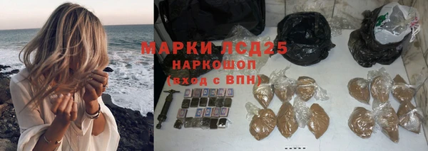 круглые Белокуриха