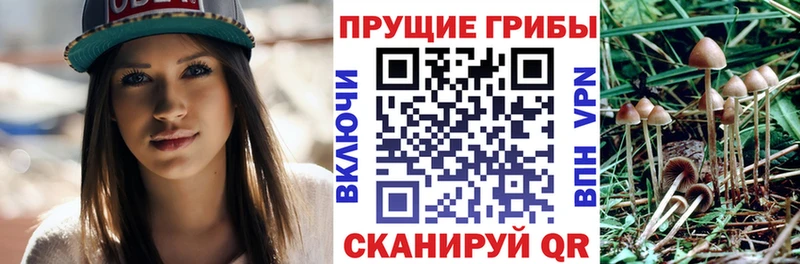 Псилоцибиновые грибы MAGIC MUSHROOMS  Волосово 